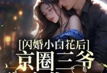 夏小梨刑赫野的完整故事在哪里?读闪婚小白花后,京圈三爷彻底收心了小说-乐读文学