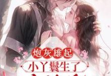 炮灰雄起:小丫鬟生了王府继承人小说的免费阅读版本在哪里可以找到?-乐读文学