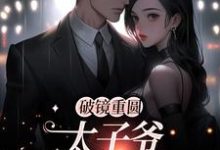 破镜重圆:太子爷他太霸道小说全文哪里可以免费看?-乐读文学