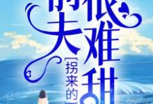 拐来的前夫很难甜小说最新更新在哪里?免费在线看-乐读文学