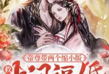 《救命!帝尊带两个缩小版上门逼婚》全集免费在线阅读(沐晚歌墨为寂)-乐读文学