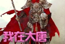 完结版《我在大唐卖军火》章节阅读-乐读文学