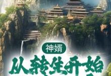 完结版《神婿:从转生开始称霸大唐》章节阅读-乐读文学