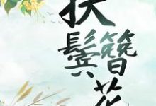 沈归舟陈穆愉的故事在哪本书里?免费阅读扶鬓簪花-乐读文学