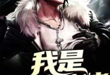 我是全能大佬小说,我是全能大佬在线阅读-乐读文学