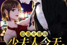 小说《追妻火葬场:少夫人今天又硬气了》章节阅读-乐读文学