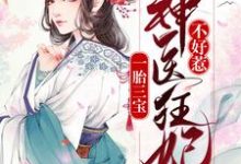 一胎三宝:神医狂妃不好惹免费阅读,一胎三宝:神医狂妃不好惹章节目录-乐读文学