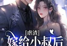 虐渣:嫁给小叔后,渣男疯了小说,虐渣:嫁给小叔后,渣男疯了免费阅读-乐读文学