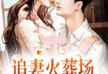小说《追妻火葬场!狗男人被虐惨啦》在线章节阅读-乐读文学