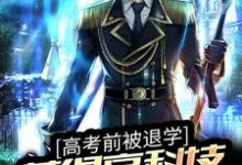 寻找能够免费阅读高考前被退学,获得高科技武器图纸小说的平台-乐读文学