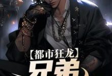 都市狂龙:兄弟,哥罩着你!主角宋渔向影小说完结版章节在线阅读-乐读文学