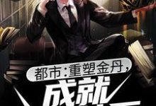 都市:重塑金丹,成就盛世神医林北,都市:重塑金丹,成就盛世神医小说免费阅读-乐读文学