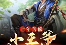 七年苦修,小王爷武林第一小说,七年苦修,小王爷武林第一免费阅读-乐读文学