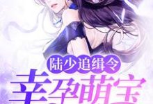 陆少追缉令:幸孕萌宝亿万妻小说,陆少追缉令:幸孕萌宝亿万妻最新章节-乐读文学