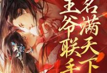 已完结小说《和王爷联手后,我名满天下了》在线章节阅读-乐读文学