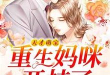 天才萌宝:重生妈咪开挂了小说,天才萌宝:重生妈咪开挂了章节在线阅读-乐读文学