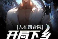 人在四合院,开局下乡插队北大荒小说,人在四合院,开局下乡插队北大荒免费阅读-乐读文学