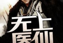 主人公叫江小白上官婉清的小说无上医仙在线阅读章节-乐读文学