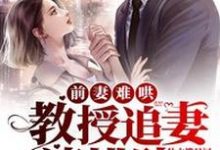 主角叫姜予念江叙的小说在哪阅读-乐读文学