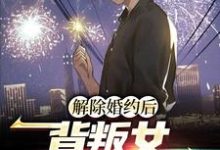 小说《解除婚约后,背叛女她后悔了》在线章节阅读-乐读文学