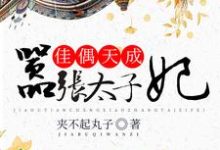 佳偶天成:嚣张太子妃小说的免费电子版在哪里可以下载或阅读?-乐读文学