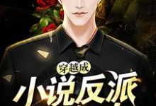 穿越成小说反派怎么办小说全文哪里可以免费看?-乐读文学