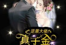 逆袭大佬:真千金她帅翻了免费阅读,逆袭大佬:真千金她帅翻了章节在线阅读-乐读文学