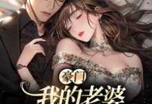 天殊顾曦小说《豪门:我的老婆平平无奇》在线阅读-乐读文学