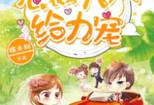 已完结小说《1胎2宝:总裁大人,给力宠》章节免费阅读-乐读文学