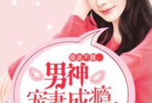婚迷不醒:男神宠妻成瘾这本小说怎么样?免费在线阅读试试-乐读文学