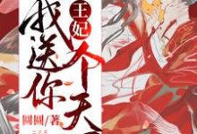 完结版《王妃,我送你个天下》章节目录在线阅读-乐读文学