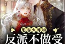 《追妻火葬场:反派不做受气媳妇啦》小说大结局免费试读 宋言之裴聿琛小说-乐读文学
