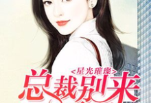 星光璀璨:总裁别来无恙免费阅读,星光璀璨:总裁别来无恙章节在线阅读-乐读文学