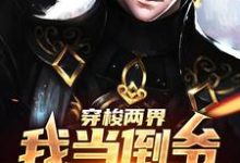 《穿梭两界,我当倒爷发家致富》全集免费在线阅读(沈旭宋思晴)-乐读文学
