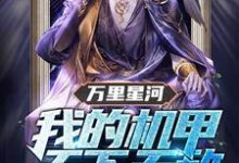 万里星河:我的机甲天下无敌小说完结了吗?在哪里可以免费读到?-乐读文学