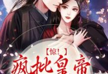 求惊!疯批皇帝对我图谋不轨小说的全文免费阅读链接-乐读文学