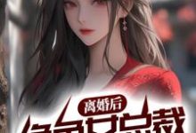 寻找能够免费阅读离婚后,绝色女总裁悔不当初小说的平台-乐读文学