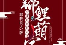 叶楚月夜墨寒小宝叶子喻小说在哪里可以看-乐读文学