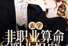 主人公卫绵小说玄学:非职业算命,职业捉鬼在线章节阅读-乐读文学