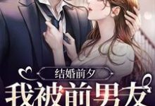 哪里能找到结婚前夕,我被前男友带走了小说的全部章节?-乐读文学