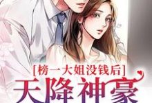 小说《榜一大姐没钱后,天降神豪系统》章节免费阅读-乐读文学