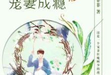 免费在线阅读顾少宠妻成瘾小说的正规网站有哪些?-乐读文学