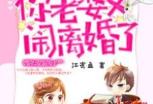 免费看盛总,你老婆又闹离婚了小说的网站有哪些?-乐读文学