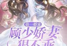 完结版《第一婚宠:顾少娇妻狠不乖》在线免费阅读-乐读文学