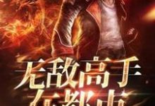 林宇阳刘圆圆是哪本书的主角?寻找无敌高手在都市免费阅读-乐读文学