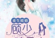 小说《重生暖婚:顾少,碗里来》章节免费阅读-乐读文学