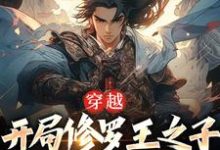 主人公叫齐枫的小说哪里免费看-乐读文学