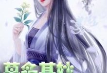 完结版《莫名其妙世子妃》免费阅读-乐读文学