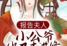 在线搜索顾樱赵长渡的完整小说,免费阅读报告夫人,小公爷他又去进修男德了-乐读文学