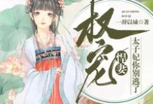在线寻找权宠悍妻:太子妃你别逃了小说的无删减版本-乐读文学